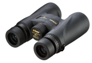 Best Binoculars for Elk Hunting