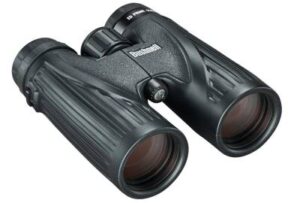 Best Binoculars for Elk Hunting