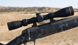 Best Leupold Scopes for 308