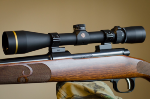 Best Leupold Scope under $500