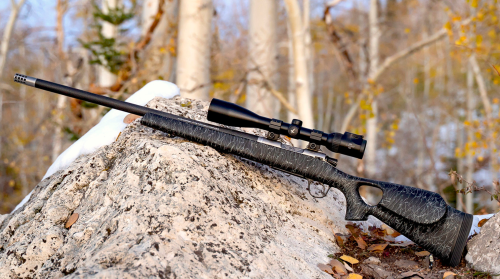 Best 350 Legend Riflescopes