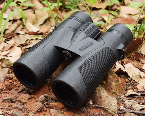 Best Steiner Binoculars