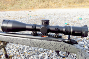 Best Burris 450 Bushmaster Scopes