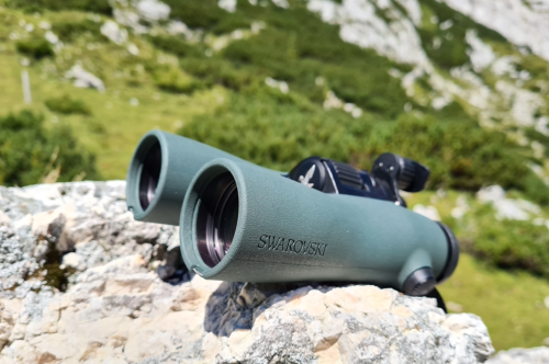 Best Rangefinder Binoculars for Hunting