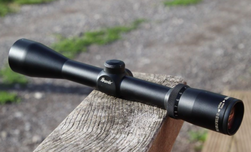 Best 22 Hornet Scopes