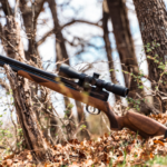 Best Scopes for PCP Air Rifles