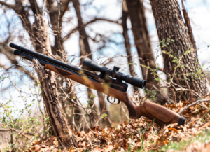 Best Scopes for PCP Air Rifles