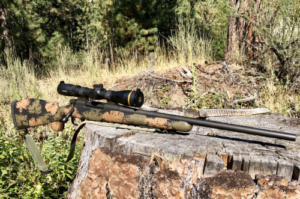 Best 308 Winchester Scopes