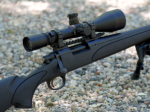 Best 300 WSM Rifle Scopes