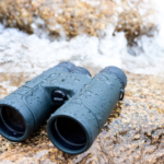 Best Rangefinder Binoculars for Hunting