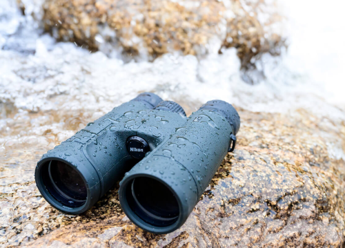 Best Rangefinder Binoculars for Hunting