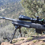 Best Vortex Scopes for 308 Hunting