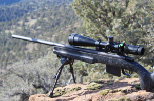 Best Vortex Scopes for 308 Hunting