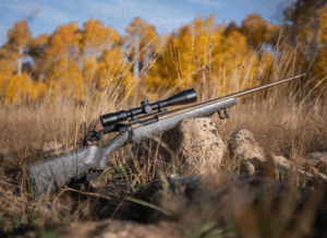 Best Scopes for Savage 17 HMR Rifle