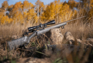 Best Scopes for 6.5 Creedmoor Deer Hunting