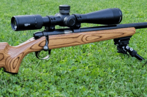 Best Vortex Scopes for 6.5 Creedmoor