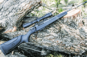 Best Varmint Scopes for 22-250