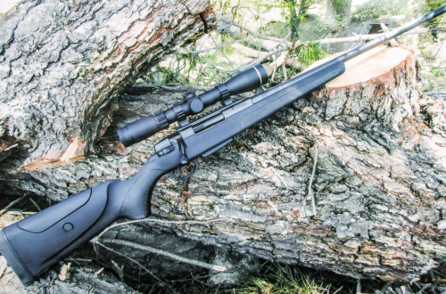 Best Varmint Scopes for 22-250