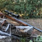 Best Scopes for 22LR Squirrel Hunting
