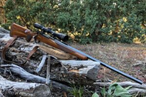 Best Scopes for 22LR Squirrel Hunting