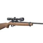 Best Ruger 10/22 Scopes