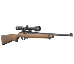 Best Ruger 10/22 Scopes