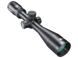Best Ruger 10/22 Scopes