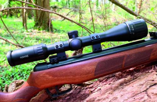 Best Budget Scopes for 308